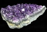 Dark Purple Amethyst Cluster - Uruguay #77003-1